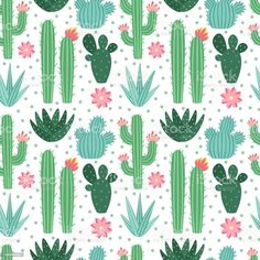 cactus and flowers on a white background with polka dotty dots, this is an image of