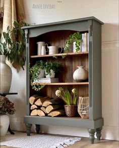 an old bookcase with plants and other items on it in front of a potted plant