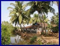 an old shack sitting on the side of a river surrounded by palm trees