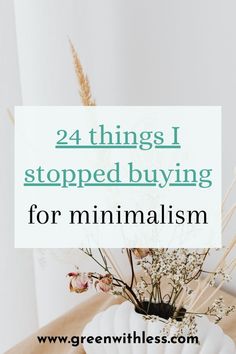 Looking for some helpful ideas to embrace conscious consumption and shop more intentionally? Want to give minimalism and frugal living a try? Click on the pin to discover these 24 things I stopped buying as a minimalist. Not buying these things has saved me tons of money and has helped me maintain a clutter-free minimalist home! Becoming A Minimalist, Mac Foundation, Becoming Minimalist, Minimalist Kids, Minimalist Inspiration, Minimal Living, Minimalism Lifestyle