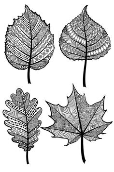 four leaf designs in black and white on a white background royalty - free stock photo