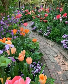 a garden with lots of colorful flowers growing on the side of it's walkway