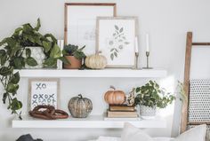 a living room filled with lots of plants and pictures on top of white shelving