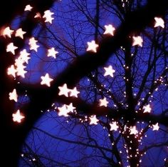 the branches of a tree are lit up with white stars on them at night time