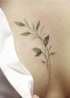 the back of a woman's stomach with green leaves on her left side,