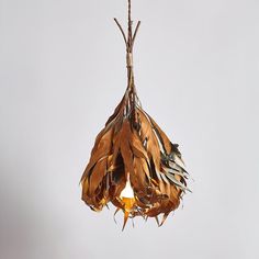 a bunch of dried flowers hanging from a light fixture with no bulbs or wires attached to it