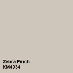 a gray wall with the words zebra finch km994