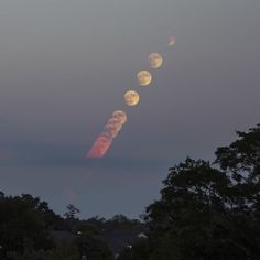 a long line of moon's in the sky with trees around them at night