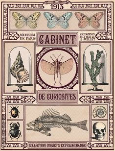 an old poster with different types of insects and other things on it's side