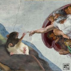 the creation of man being attacked by a rat