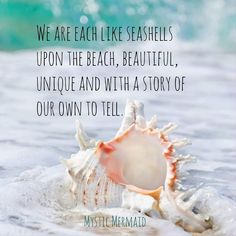 a sea shell with the quote we are each like seashells upon the beach, beautiful, unique and with a story of our own to tell