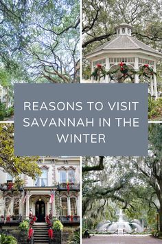 Reasons to Visit Savannah in the Winter Savannah In December, Savannah Georgia Christmas Time, Savannah Georgia Christmas, Savannah Georgia In January, Savannah Georgia In December, Savannah Outfits Winter, Savannah Georgia Winter, Savannah Georgia Vacation, Georgia Trip