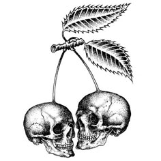 two skulls with leaves on their heads hanging from a branch, vintage line drawing or engraving