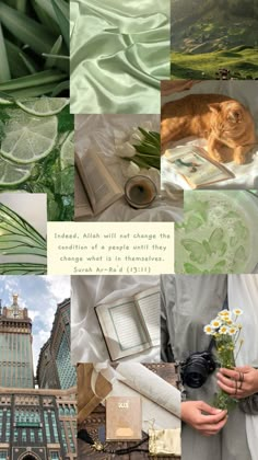 a collage of photos with an orange cat laying on top of a book and flowers