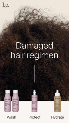 Hair damage is no match for the Lp Restore collection. Tap to start reversing hair dryness + damage. #livingproofinc Hair Dryness, Wella Hair, Living Proof, Hair Regimen, Damaged Hair, Keratin, Natural Hair Care, Hair Care, Conditioner