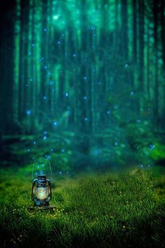 a glowing lantern in the middle of a forest filled with green grass and trees, surrounded by blue lights