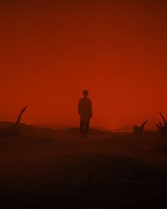 a man standing in the middle of a field at sunset with red sky behind him