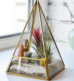 an air plant in a glass terrarium with rocks and gravel on the floor next to a window