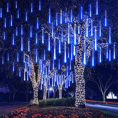 an illuminated tree in the middle of a park at night with blue lights on it