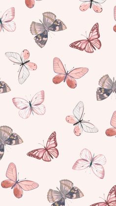 many different colored butterflies on a pink background