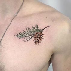 a man's chest with a pine cone tattoo on the left side of his chest