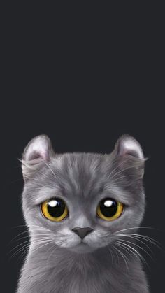 a gray cat with yellow eyes looking at the camera