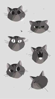 four different types of cats'heads with their mouths open and eyes wide open,