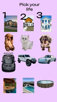 there are pictures of dogs and cars on this page with the words pick your 2 life