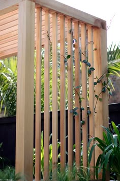 a wooden fence with vines growing on the top and bottom part, in front of some plants