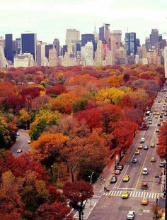 an aerial view of a city with tall buildings and lots of trees in the foreground