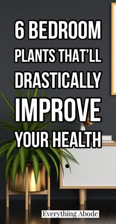 a living room with plants in pots and the words 6 bedroom plants that'll dramatically improve your health