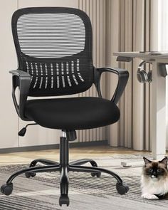 a black office chair with a cat sitting on the floor in front of it next to a desk