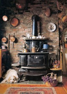 a dog laying on the floor in front of an old fashioned stove