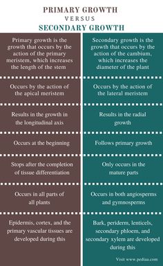 two different types of plants with the words primary growth versus secondary growth and secondary growth