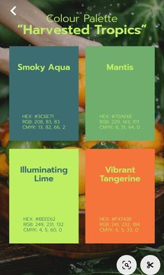 Visuell Identitet, Pantone Colour Palettes, Color Design Inspiration, Hex Color Palette, Color Schemes Colour Palettes, Brand Color Palette, Green Colour Palette, Tropical Colors, Color Palette Design