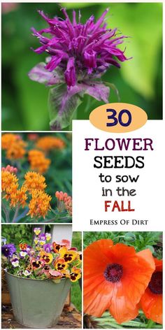 the book cover shows flowers in different stages of blooming, including an orange and purple flower