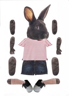 an image of a rabbit wearing a striped shirt and denim shorts with shoes on the ground