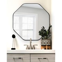 a bathroom sink with a mirror above it and a potted plant on the counter