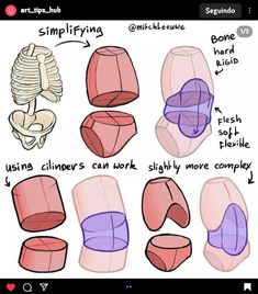 how to draw the human body with simple shapes for kids and beginners - step by step instructions