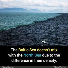 an image of the ocean with text that reads, the baltic sea doesn't mix with the north sea due to the differences in their density