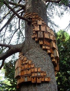 a tree with lots of wooden boxes attached to it