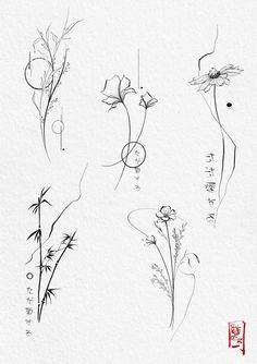 four different types of flowers drawn in ink