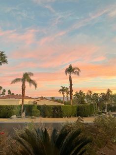 palm trees in front of a house with pink and blue sky