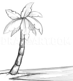 a drawing of a palm tree on the beach