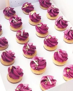 cupcakes with purple icing in a box on a white countertop, ready to be eaten