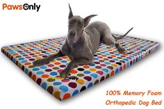 a dog laying on top of a colorful polka dot memory foam mat with the words paws only