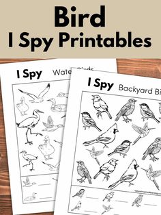 two printable bird i spy worksheets for kids