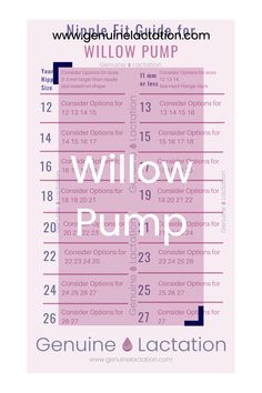 a poster with the words willow pump written in white and pink on it's side