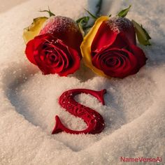 two roses are sitting in the snow next to each other with letters s and w