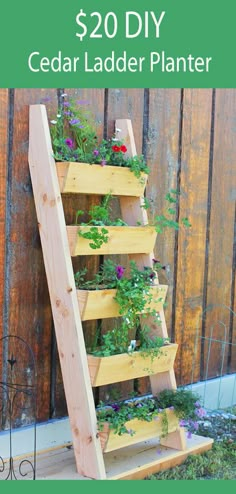 a wooden ladder with plants growing on it